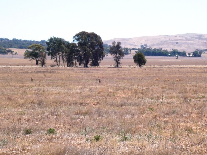 * 594.69ha Bradfield 1468acs, Jamestown SA 5491