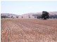 * 594.69ha Bradfield 1468acs, Jamestown SA 5491