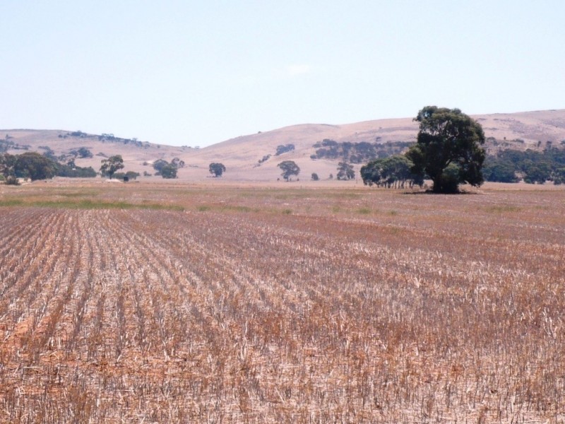 * 594.69ha Bradfield 1468acs, Jamestown SA 5491