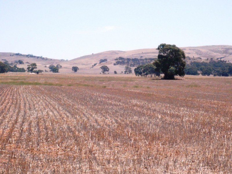 * 594.69ha Bradfield 1468acs, Jamestown SA 5491