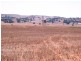 * 594.69ha Bradfield 1468acs, Jamestown SA 5491