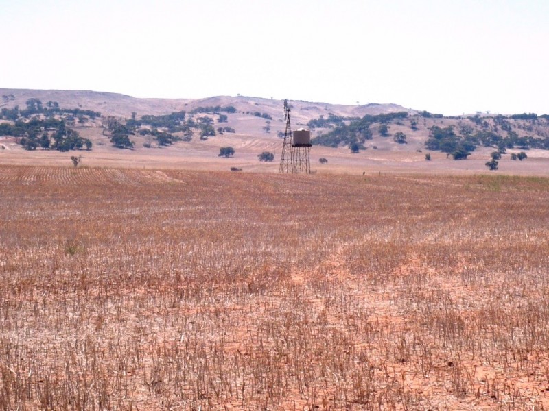 * 594.69ha Bradfield 1468acs, Jamestown SA 5491