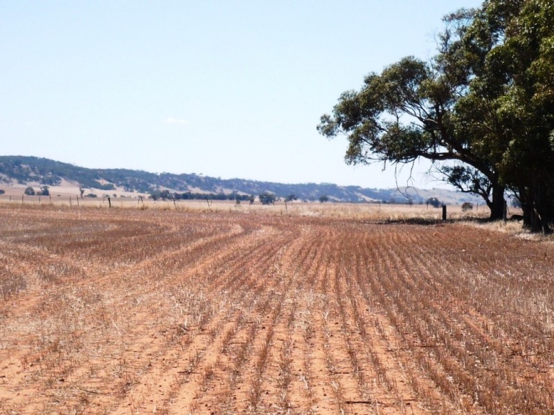 * 594.69ha Bradfield 1468acs, Jamestown SA 5491