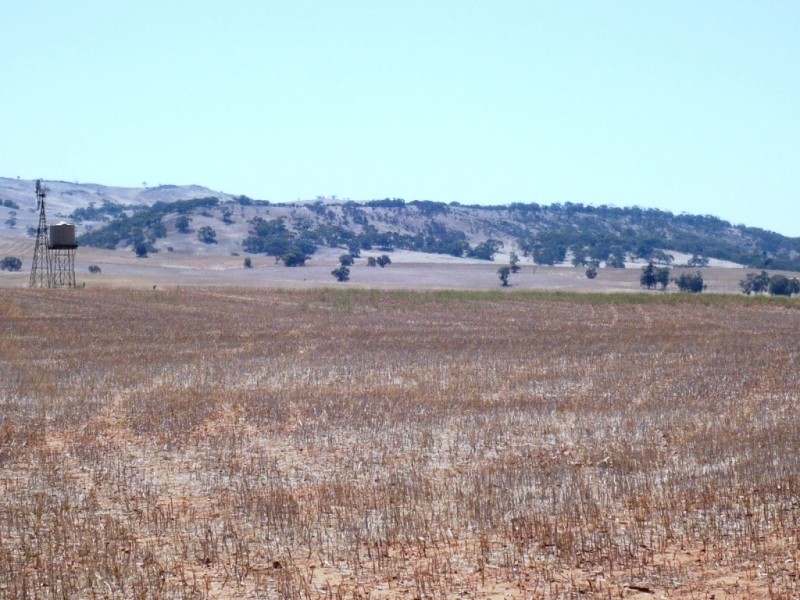 * 594.69ha Bradfield 1468acs, Jamestown SA 5491