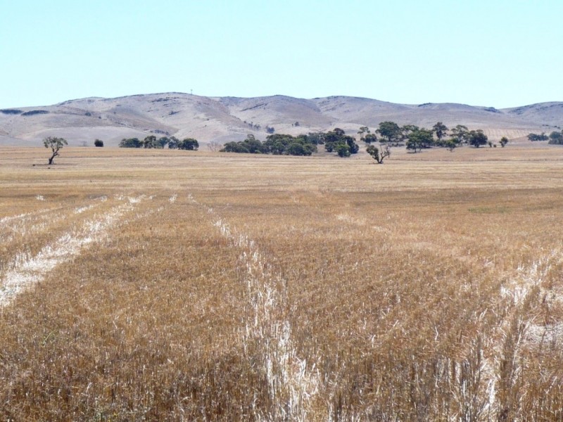 * 594.69ha Bradfield 1468acs, Jamestown SA 5491