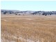 * 594.69ha Bradfield 1468acs, Jamestown SA 5491