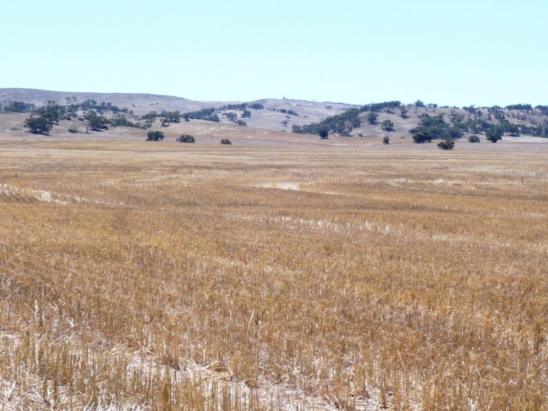 * 594.69ha Bradfield 1468acs, Jamestown SA 5491
