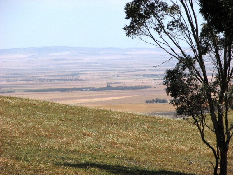 Lot 7 Spring Gully Road, Clare SA 5453