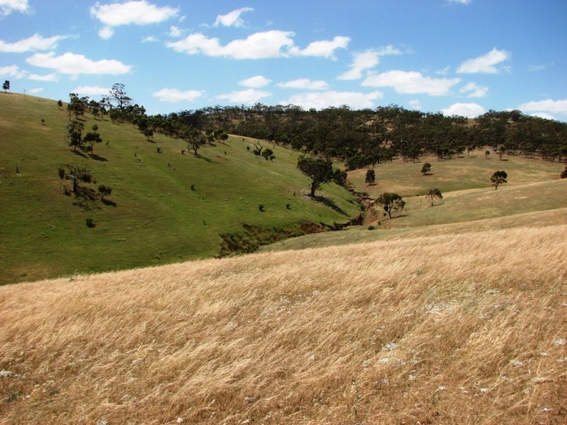 Lot 7 Spring Gully Road, Clare SA 5453