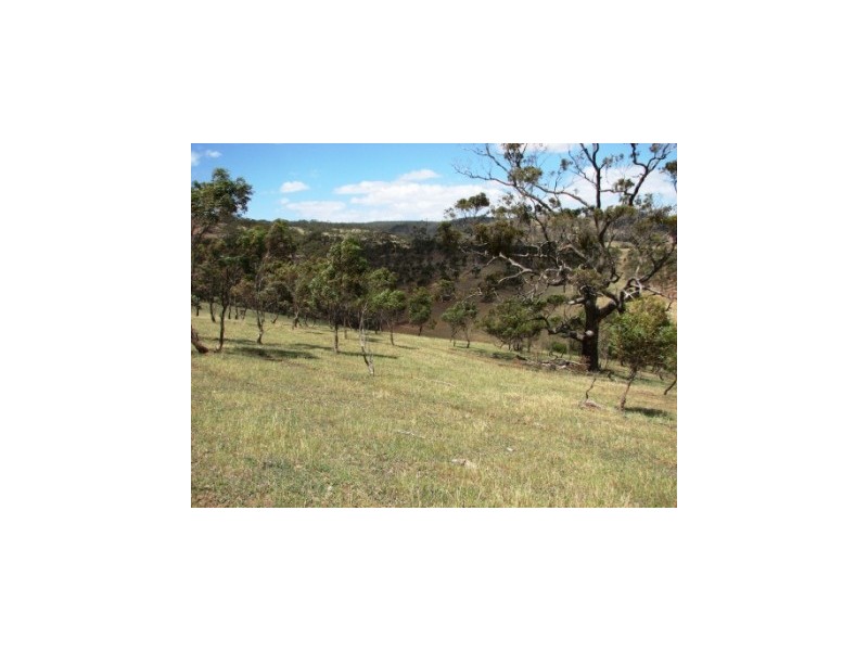 Lot 7 Spring Gully Road, Clare SA 5453