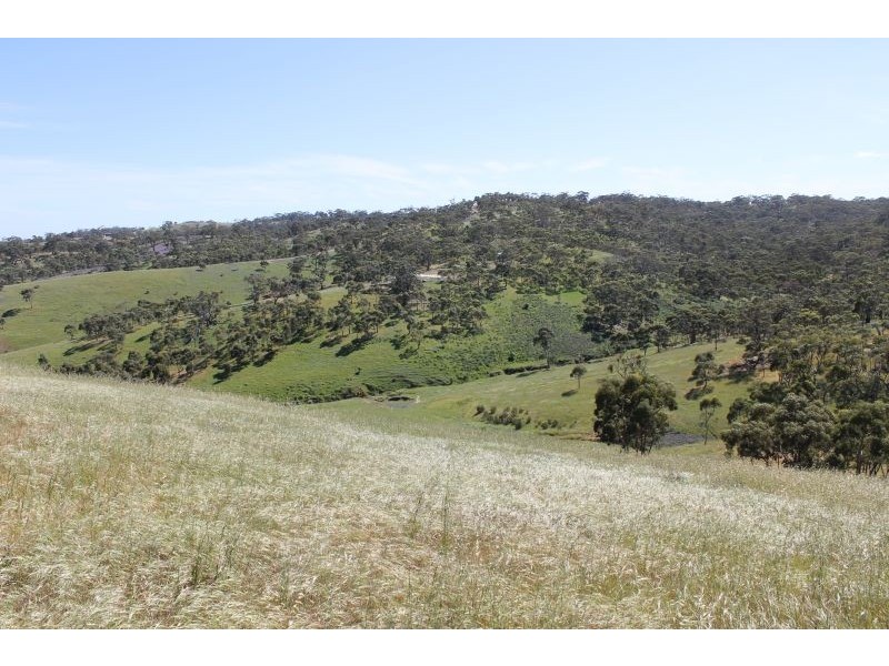 Lot 7 Spring Gully Road, Clare SA 5453