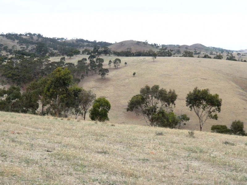 Lot 7 Spring Gully Road, Clare SA 5453