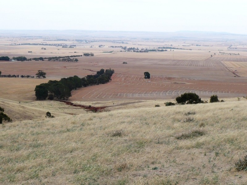 Lot 7 Spring Gully Road, Clare SA 5453