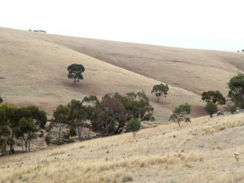 Lot 7 Spring Gully Road, Clare SA 5453