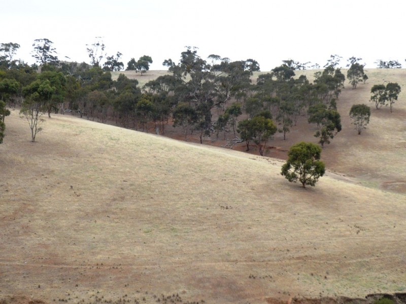 Lot 7 Spring Gully Road, Clare SA 5453