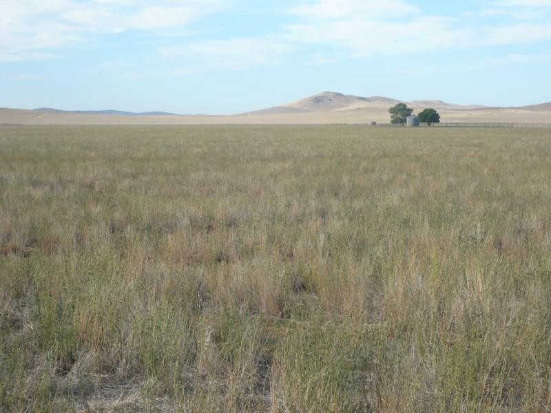 Section 1 Main Road, Canowie SA 5419