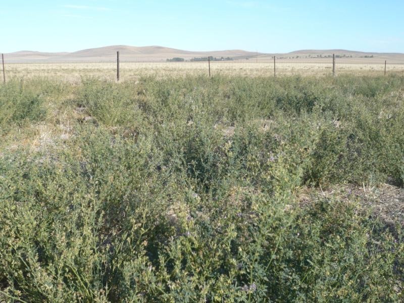 Section 1 Main Road, Canowie SA 5419