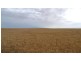 * 173.9ha Reddings-Mt Rat” 429.79acs, Wauraltee SA 5573