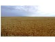 * 173.9ha Reddings-Mt Rat” 429.79acs, Wauraltee SA 5573