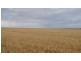 * 173.9ha Reddings-Mt Rat” 429.79acs, Wauraltee SA 5573