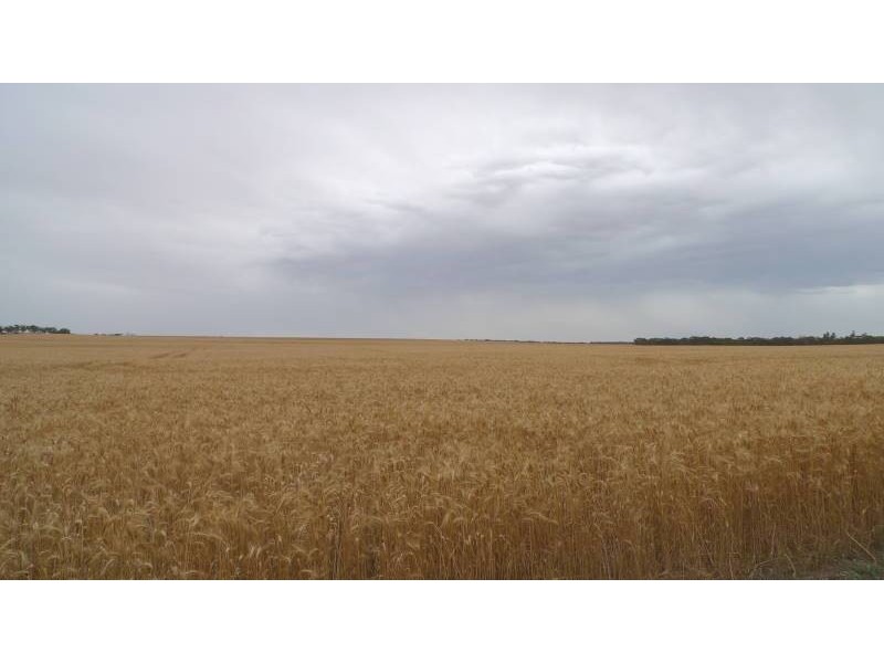* 173.9ha Reddings-Mt Rat” 429.79acs, Wauraltee SA 5573