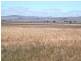 * 253.7ha Mitchells 627.02acs, Hallett SA 5419