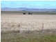 * 253.7ha Mitchells 627.02acs, Hallett SA 5419
