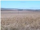 * 253.7ha Mitchells 627.02acs, Hallett SA 5419