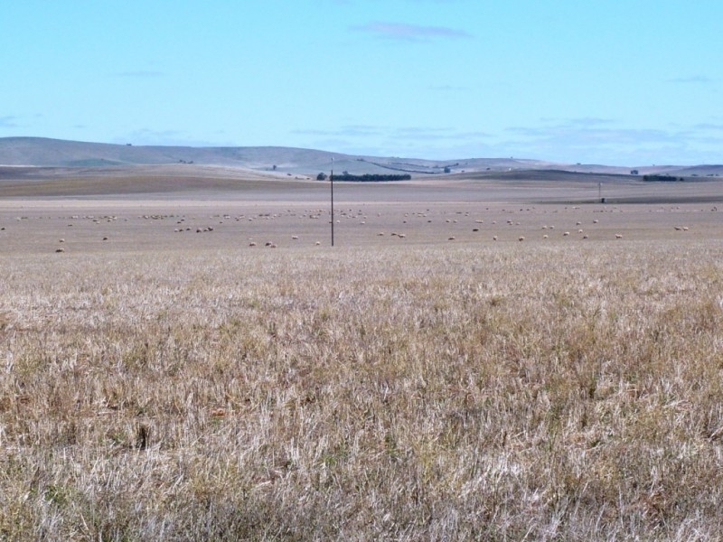 * 253.7ha Mitchells 627.02acs, Hallett SA 5419