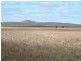 * 253.7ha Mitchells 627.02acs, Hallett SA 5419
