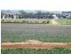 * 286.3ha The Barn 707.59acs, Hill River SA 5453