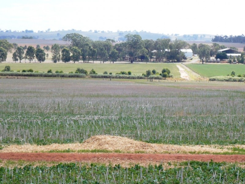 * 286.3ha The Barn 707.59acs, Hill River SA 5453