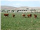 * 286.3ha The Barn 707.59acs, Hill River SA 5453