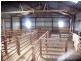 * 286.3ha The Barn 707.59acs, Hill River SA 5453