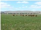 * 286.3ha The Barn 707.59acs, Hill River SA 5453