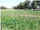 * 286.3ha The Barn 707.59acs, Hill River SA 5453