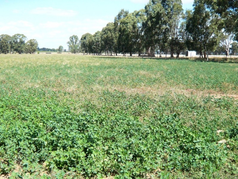 * 286.3ha The Barn 707.59acs, Hill River SA 5453
