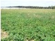* 286.3ha The Barn 707.59acs, Hill River SA 5453