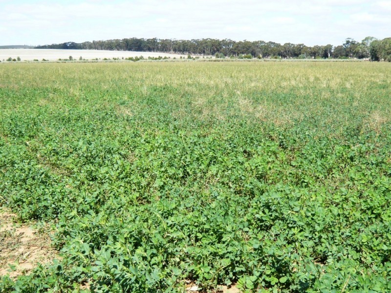 * 286.3ha The Barn 707.59acs, Hill River SA 5453