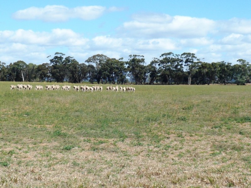 * 286.3ha The Barn 707.59acs, Hill River SA 5453