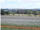 * 286.3ha The Barn 707.59acs, Hill River SA 5453