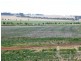 * 286.3ha The Barn 707.59acs, Hill River SA 5453