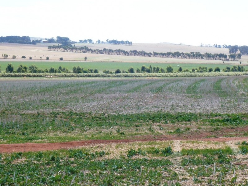* 286.3ha The Barn 707.59acs, Hill River SA 5453