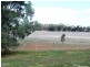 * 286.3ha The Barn 707.59acs, Hill River SA 5453