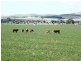 * 286.3ha The Barn 707.59acs, Hill River SA 5453