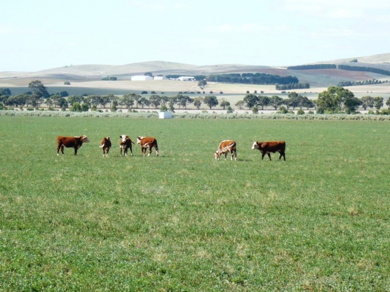 * 286.3ha The Barn 707.59acs, Hill River SA 5453