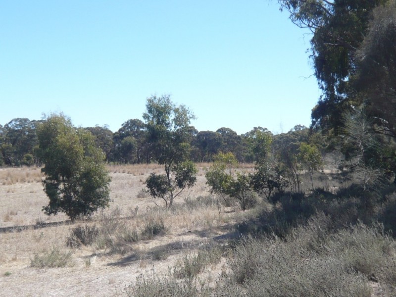 * 12.74ha Rosella Ranch 31.48acs, Clare SA 5453