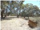 * 12.74ha Rosella Ranch 31.48acs, Clare SA 5453
