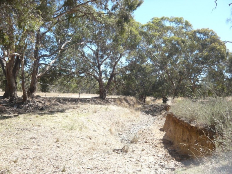 * 12.74ha Rosella Ranch 31.48acs, Clare SA 5453