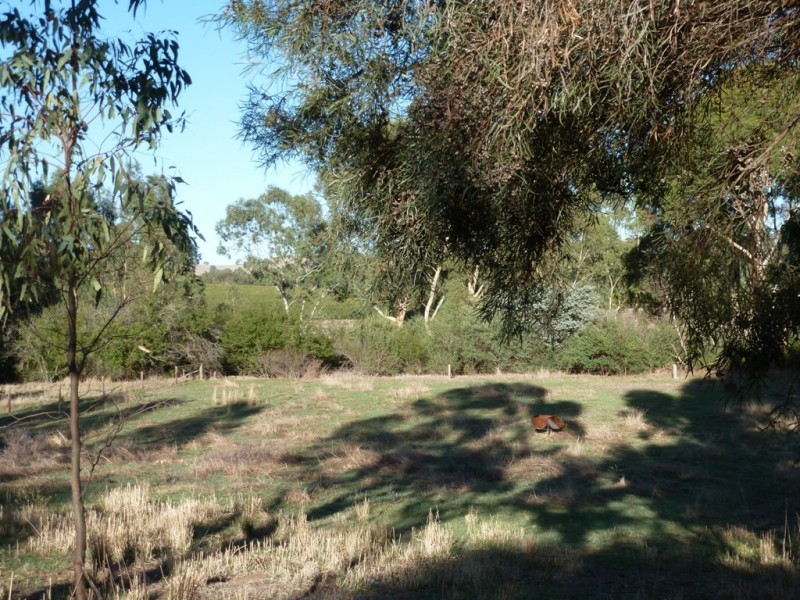 Lot 7 Kurrang Avenue, Clare SA 5453